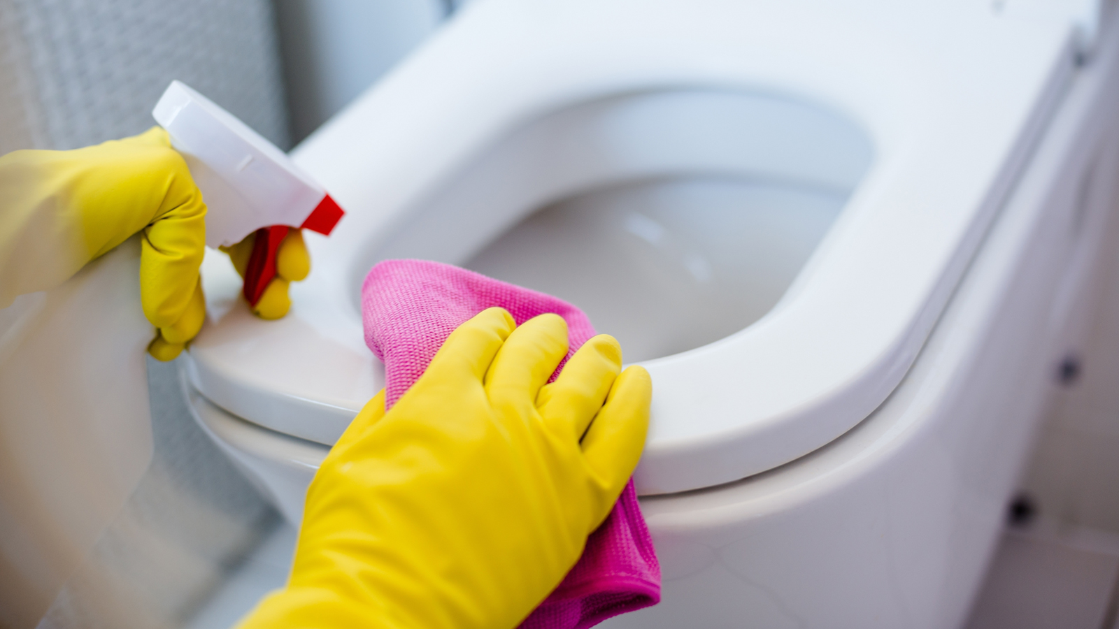 Test sui detergenti per il bagno | Mejores Productos de limpieza de baño  | OCU Test sui detergenti per il bagno